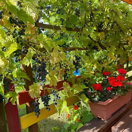 Bellevue Hotel Wandlitz