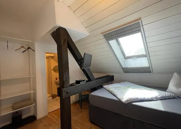 Bellevue 3* فاندليتس