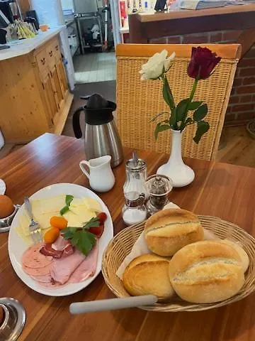 Bellevue فاندليتس